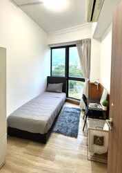 Tanglin View (D3), Condominium #452459341